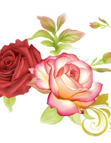 Red Roses Heirloom Paint By Numbers