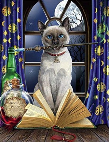 Hocus Pocus Cat Art Paint By Numbers