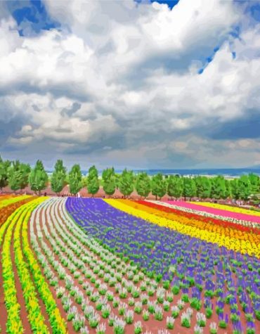Hokkaido Landscape Paint By Numbers