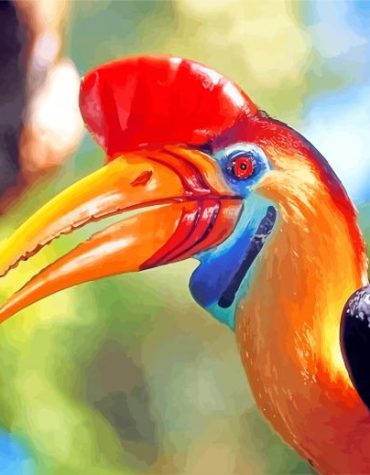 Great Hornbill Animal Paint By Numbers