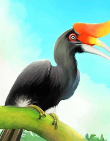 Great Hornbill Paint By Numbers