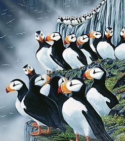 Horned Puffin Bird Paint By Numbers