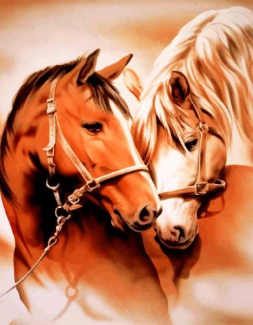 Horse Lovers Paint By Numbers
