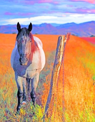 Stallion in Meadow Paint By Numbers