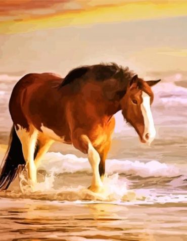 Sea Horse Painting Paint By Numbers