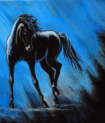 Arabian Horse Midnight Blue Paint By Numbers