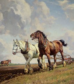 Country Horses Paint By Numbers