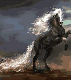 White Arabian Horse Paint By Numbers