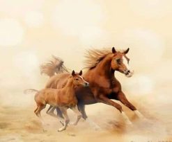 Arabian Horse and Foal Paint By Numbers