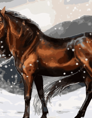 Snowy Horse Paint By Numbers