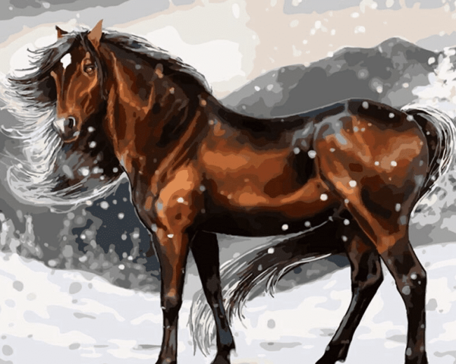 Snowy Horse Paint By Numbers