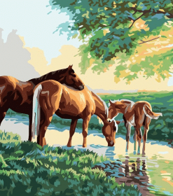 Horse Family and Foals Paint By Numbers
