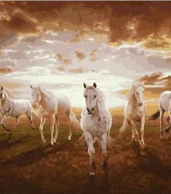 White Stallions at Sunset Paint By Numbers
