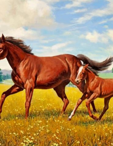 Arabian Horses in Meadow Paint By Numbers