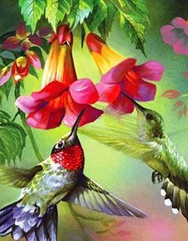 Colorful Hummingbirds and Flowers Paint By Numbers