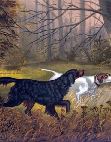 Black Hunting Dog Paint By Numbers