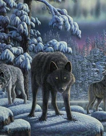 Wolf Wilderness Paint By Numbers