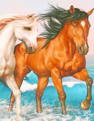 Arabian Stallions Paint By Numbers