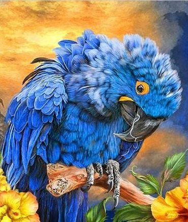 Hyacinth Macaw Blue Birds Paint By Numbers