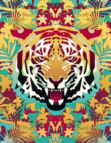 Hypnotic Big Cat Paint By Numbers