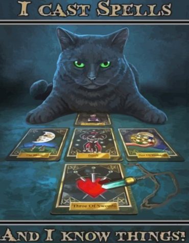 Magical Cats Paint By Numbers