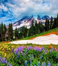 Spring Nature Ice Landscape Paint By Numbers