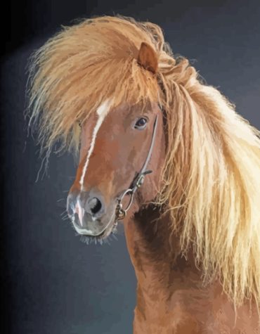 Majestic Icelandic Pony Paint By Numbers