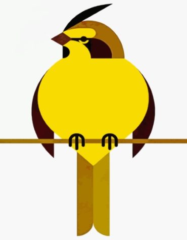 Yellow Cardinal Bird Paint By Numbers