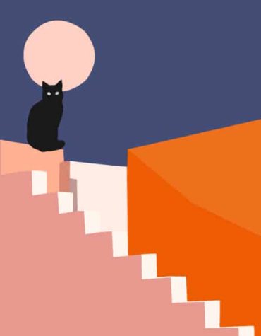 Black Cat Illustration Paint By Numbers