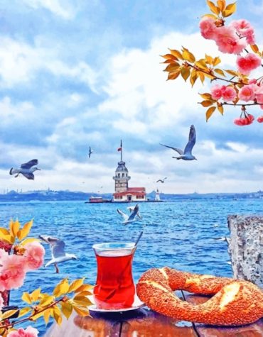 Tea in Istanbul Serenity Paint By Numbers