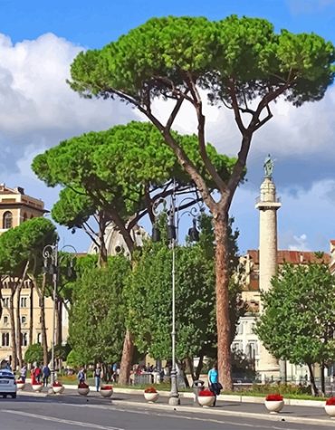 Beautiful Rome Antique Buildings Paint By Numbers