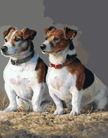 Paint Your Jack Russell Masterpiece By Numbers