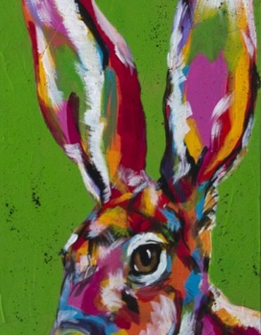 Colorful Jackrabbit Paint By Numbers