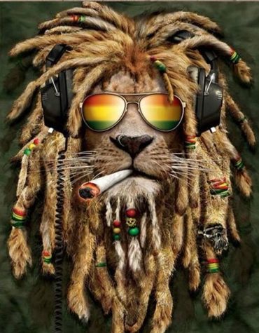 Jamaican Lion Majesty Paint By Numbers