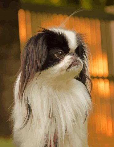 Japanese Chin Dog Paint By Numbers