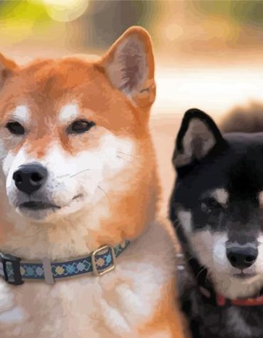 Japanese Puppies Art Paint By Numbers