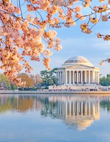 Cherry Blossom Jefferson Memorial Paint By Numbers