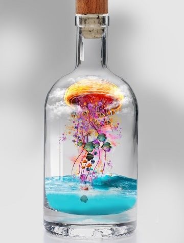 Jellyfish and Sea Creatures Paint By Numbers