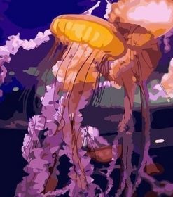 Jellyfish Ocean Paint By Numbers