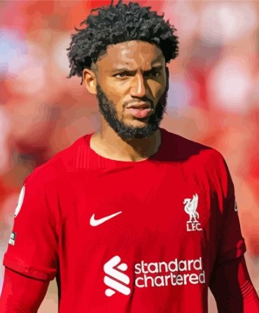 Joe Gomez Football Star Paint By Numbers