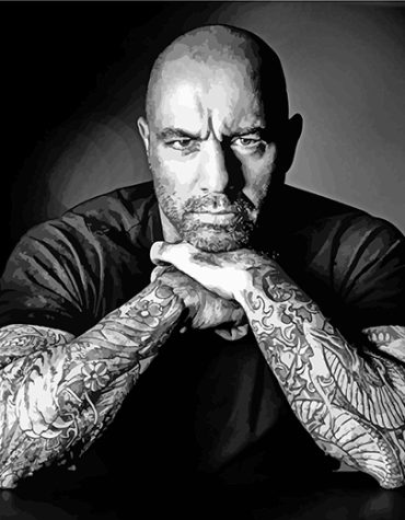 Joe Rogan Monochrome Paint By Numbers