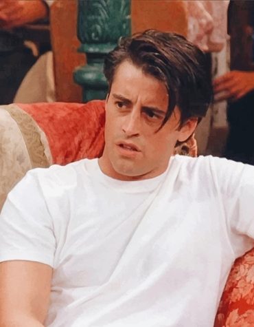 Joey Tribbiani Sitcom Paint By Numbers
