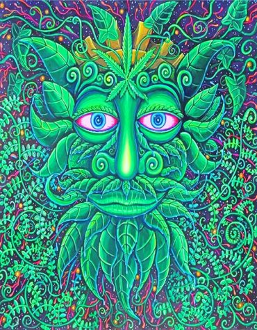 John Speaker Green Man Abstract Paint By Numbers