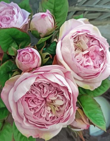 Juliet Roses in Bloom Paint By Numbers