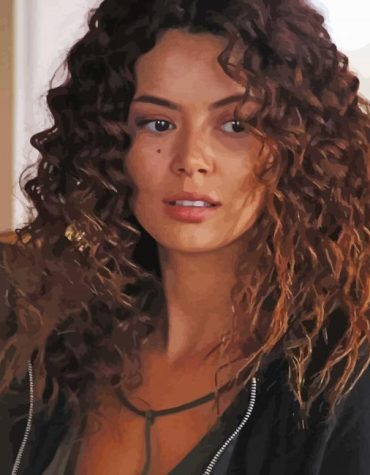 Kadin TV Drama Paint By Numbers