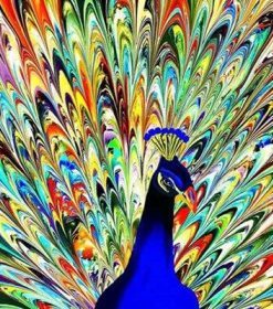 Kaleidoscope Peacock Art Paint By Numbers