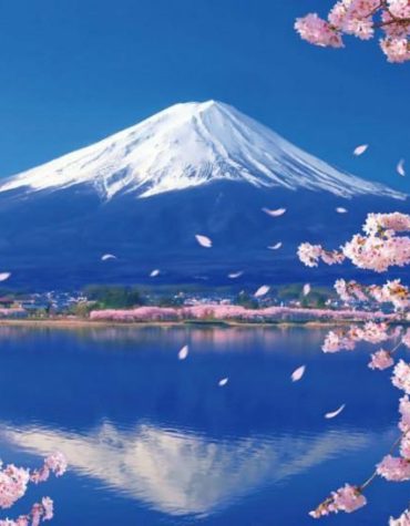 Kawaguchi Cherry Blossom Scenery Paint By Numbers