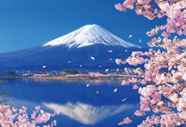 Kawaguchi Cherry Blossom Scenery Paint By Numbers