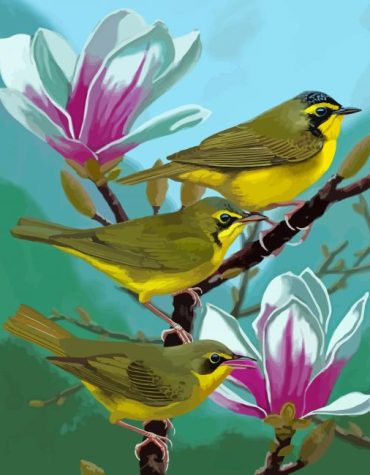 Captivating Kentucky Warbler Birds Paint By Numbers