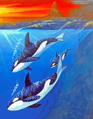 Killer Whale Underwater Scene Paint By Numbers